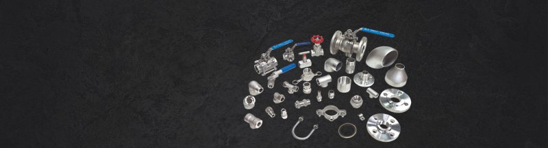 Paslanmaz Çelik Fittings Flanş Vanalar